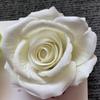 Clássico ameixa velha manhã flanela cabeça de flor de rosa cenário de casamento decoração de parede de flores flor artificial flor de simulação atacado