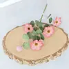 Eucalipto Artificial Flor de Margarita Tallo Único Boda Material de Flor Artificial Flor de Seda Salón de Bodas Restaurante Hotel Decoración con Flores Artificiales