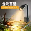 Luz Pequeña para Acuario, Foco Mini Paisajismo Acuario Sudamericano, Luz LED de Clip Pequeña Enfoque Espectro Completo Tanque de Arroyo Nativo