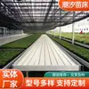 Estantería de Plantación para Vivero de Plántulas de Marea Invernadero de Vivero de Plántulas Hidropónicas de Marea Cultivo de Plántulas de Flores Riego por Marea Personalizable Vivero de Plántulas