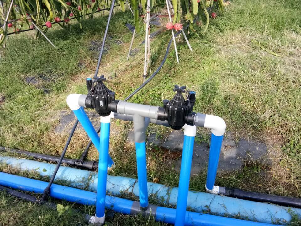 20596990_2003373946557201_2165