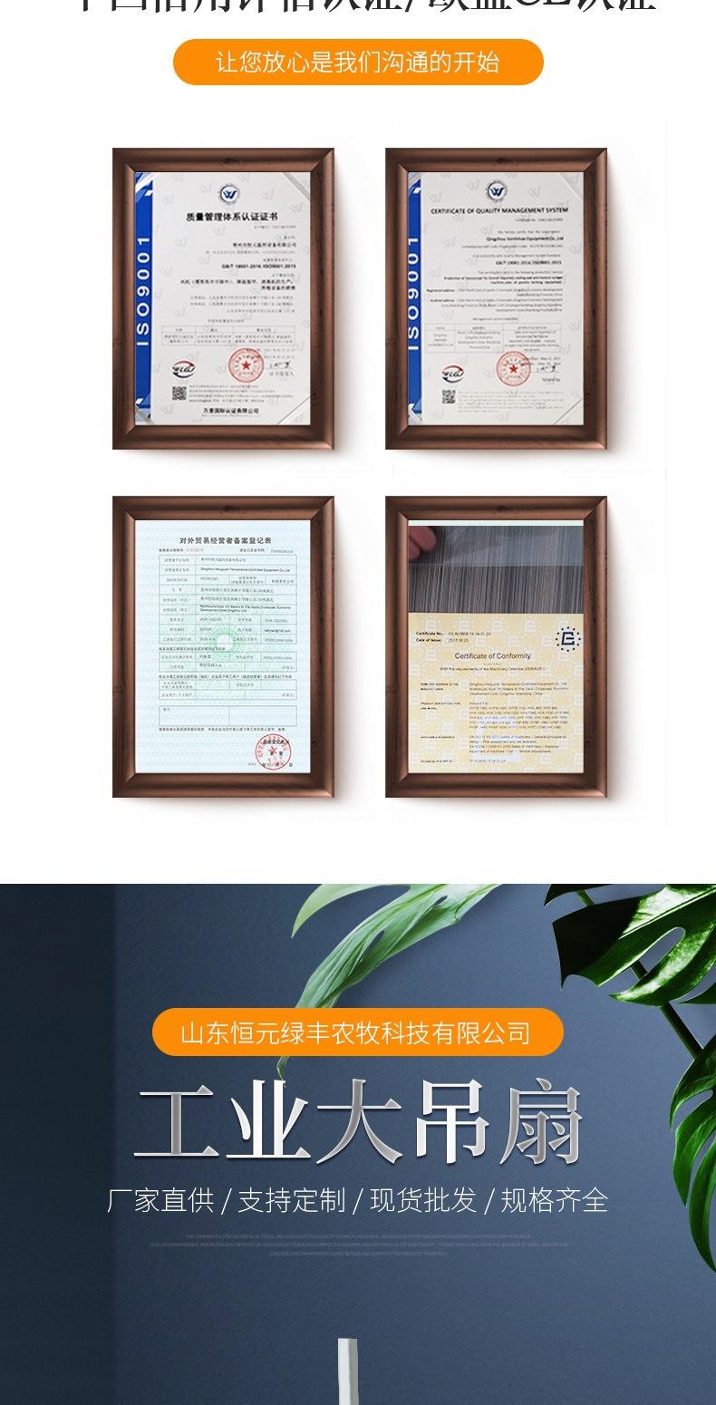 工业大吊扇(1)_002.jpg