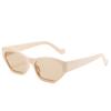 Nuevas gafas de sol personalizadas de moda transfronteriza para hombres y mujeres con gafas de sol para cara pequeña, gafas de sol con protección UV