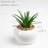 Simulação Planta Verde Artificial Flor de Plástico Carnuda Simulação de Flor Planta em Vaso Decoração de Janela de Mesa Pequeno Bonsai Mesa de Jantar Flor Mini
