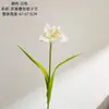 Fiorera Clivia Estilo INS Flores Artificiais para Decoração de Casa Flores Falsas Atacado Buquês de Mão Decorações de Casamento Transfronteiriças
