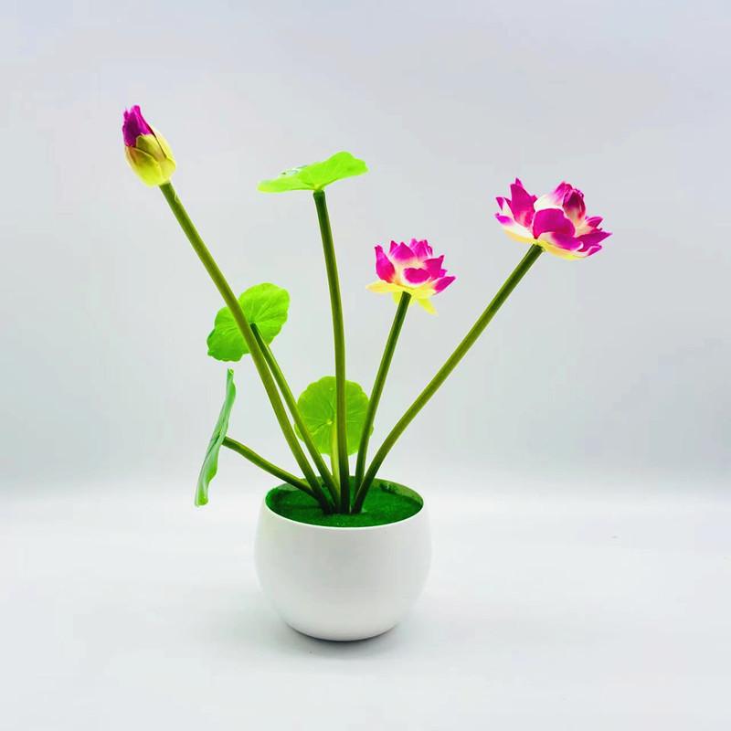 微信图片_20220626083723_副本