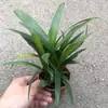 Plantas de Piedra Absorbente Plantas Verdes Piedra de Agua Acuaterrario Tanque de Selva Rocalla Paisajismo Musgo Helecho Micro-paisaje Plantas de Bonsái