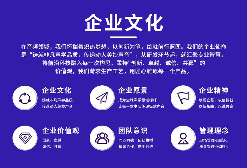 盛群电声-详情_23.jpg