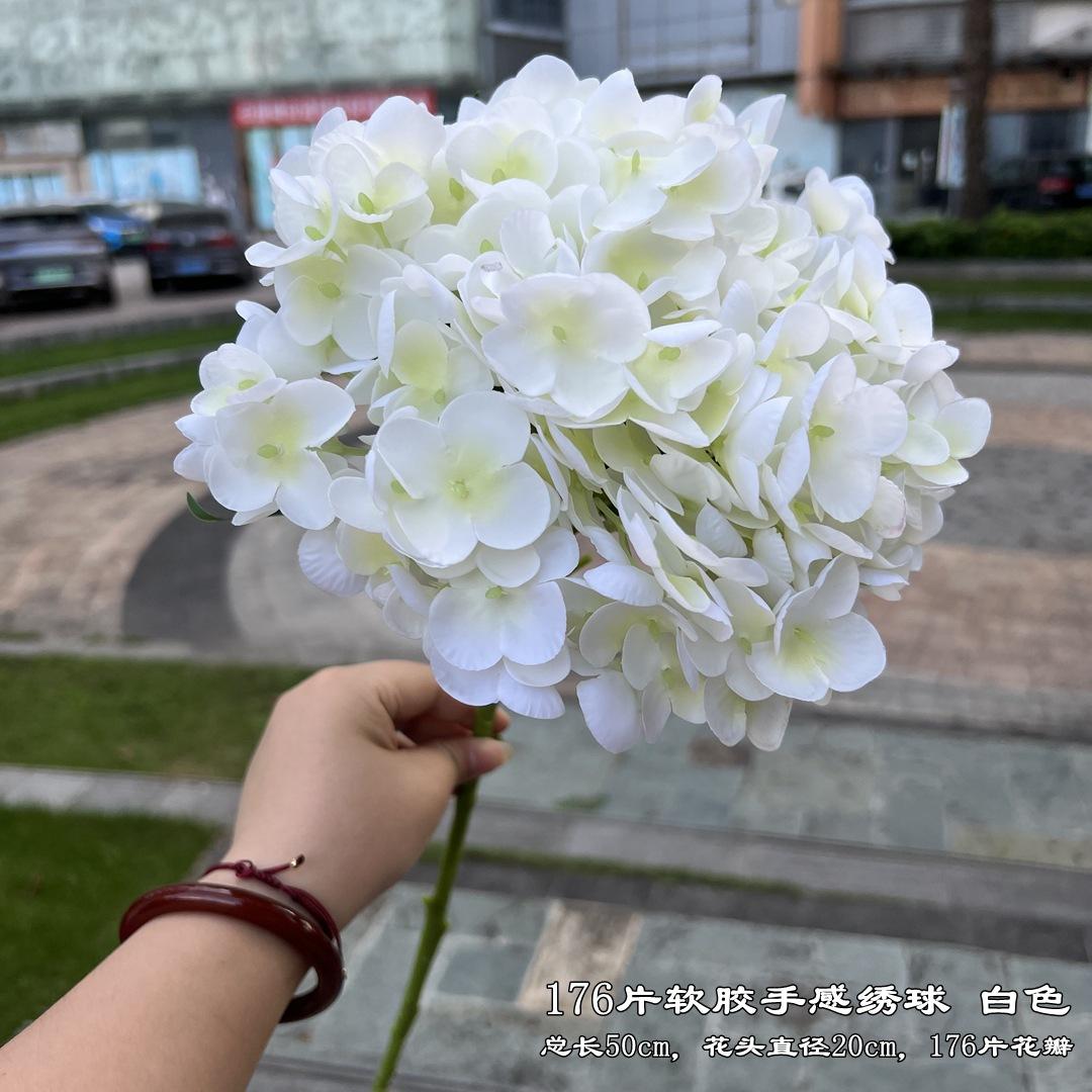 微信图片_20220727125805_副本.jpg