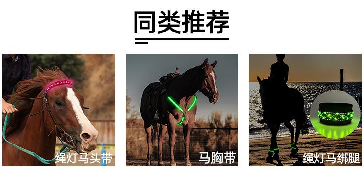 H1014-充电三织带马尾巴 (10).jpg?x-oss-process=image/format,png