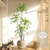 Planta Nandina Aterrizaje Planta en Maceta Interior Grande Biónica Verde Adornos Sala de Estar Lujo Ligero Flor Decorativa Árbol Falso