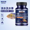Baiyinmei nitrificação bactérias cápsula tanque de peixes bactérias nitrificantes pó seco bactérias nitrificantes aquário agente de purificação de água