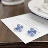 Aguja de Plata 925 Azul Trébol de Cuatro Hojas Hebilla de Oreja Belleza Dulce Nicho Temperamento Sentido de Alta Gama Verano Nuevo Pequeño Fresco Hebilla de Oreja