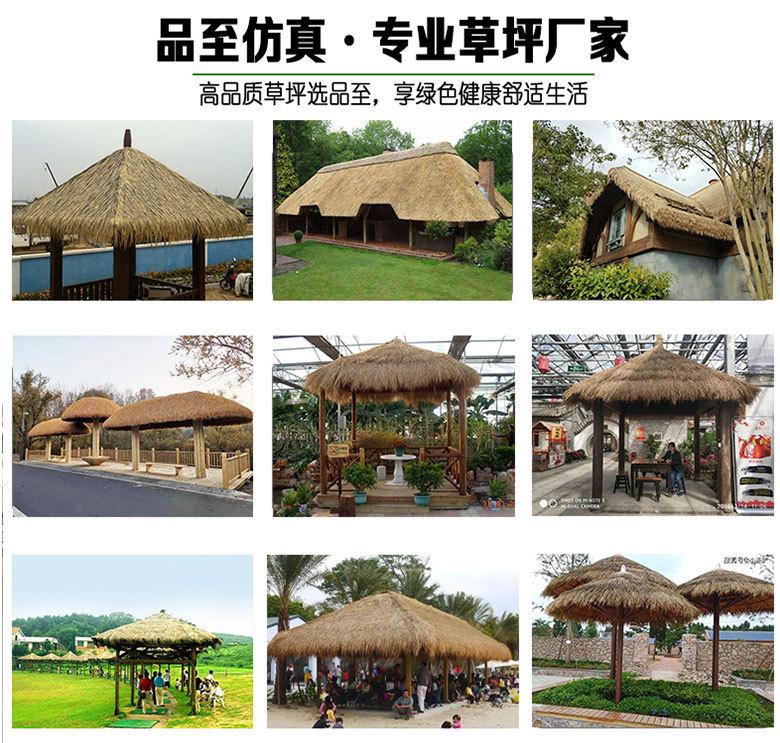 未标题-1_02.jpg