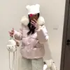 Fotos reales de chaleco acolchado de algodón estilo coreano con cuello alto, nuevo chaleco cálido corto engrosado estilo coreano para mujer con figura petite