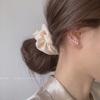 Pendientes de plata de ley, nuevos pendientes de circonita de moda, pendientes de fila de orejas súper brillantes para mujer, estilo coreano elegante, celebridad de Internet, estilo simple y frío.