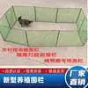 Rede para Cerca para Criação de Frangos, Modelo Atualizado com Vacina Rede para Animais de Estimação, Cerca de Frango com Estrutura Galvanizada Simples, Empilhável e Dobrável