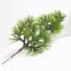 Pino Negro Falso, Pino Cola de Caballo, Abeto, Pino de Cinco Agujas, Arborvitae, Ramas de Pino, Acículas de Pino, Hojas Verdes de Tuya Atrezzo