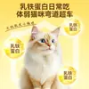 Amostra de comida úmida para gatos refeição principal, petiscos para gatos filhotes, tiras de frango para suplementar a nutrição, caixa grande com 24 latas