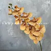 Decoración de Mesa Escandinava de Falenopsis de 9 Cabezas Impresa en 3D Película Floral de Boda Flor Artificial de Falenopsis Accesorios para Fotografía