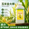 Milho Bastão Dourado Promovendo Raiz e Muda Forte Promovendo Maturação Precoce Planta Forte Resistente à Seca e Encharcamento Resistente ao Acamamento Meio Orgânico Elemento Nutricional Solúvel em Água Fertilizante