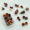 Paquete de Materiales Hechos a Mano para Bricolaje Flores Mixtas Plantas Flores Secas Piñas de Navidad Estilo Bosque para Jardín de Infancia Creación Ambiental Decoración