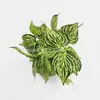 Arranjo Artificial Transfronteiriço de Rabanetes Verdes, Folhas de Batata Doce, Flores Artificiais, Paredes de Plantas Verdes, Decoração de Parede de Gramado, Arranjo de Flores para Grade de Varanda