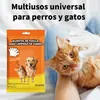 Suministros para mascotas transfronterizos para gatos y perros: guantes a prueba de gatos, toallitas sin enjuague, toallitas secas, toallitas húmedas, productos para bañar, limpiar y desodorizar