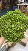 [Niebla Natural Hortensia] Flor Eterna Flor Seca Hortensia Anna Hortensia Lobular Material para Boda DIY Venta al por Mayor