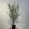 Planta Artificial Nórdica Simulada Árbol del Dinero Eucalipto Planta Verde Falsa Planta en Maceta Decoración Interior para el Hogar Adornos Grandes para el Suelo
