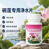 Pastilla Purificadora de Agua Flor de Loto Brote Flor de Loto Hojas Amarillas Superficie de la Hoja Pudrición Negra Hojas Fertilizante Fruta Verdura Flor Conservante