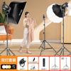 Luz de Fotografía de Alta Potencia Ruifutu 300W Led Luz de Relleno para Transmisión en Vivo Luz Suave Profesional de Estudio Fotográfico Bola de Luz Ambiental