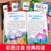 Lectura Feliz en el Tiempo Tercer Grado Barra de Lectura Feliz El Espantapájaros Lectura Obligatoria de Tercer Grado Libro Extracurricular No Pinyin Historia de Modismos