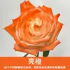 Tinta Spray para Flores, Corante Azul Gelo Triturado Ameixa, Flor de Sabão, Flor Seca, Spray de Arte Floral, Suprimentos para Floricultura Atacado