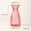 Vaso de Vidro Transparente Simples Ins Bambu da Sorte Hidropônico Arranjador de Flores Rosa Decoração de Mesa para Sala de Estar Casa
