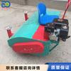 Césped Artificial Hierba Seda Equipos de Cardado Tipo Coche Motor de Gasolina Máquina de Cardado Potencia Césped Verde Jardín Mantenimiento