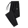 Pantalones casuales para hombre, de seda de hielo, finos, de secado rápido, deportivos, holgados, de talla grande, de primavera y otoño, de pierna recta.