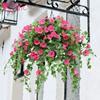 Gloriosa da Manhã Artificial Flor Artificial Gloriosa da Manhã Flor Falsa Videira Flor de Plástico Flor Decorativa Pendurada Parede Pendurada Orquídea Amazon Cross-Border