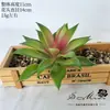 2026 Simulación de Suculentas Mini Adornos Combinación Decoración Exterior para el Hogar Plantas en Maceta Bonsái Suculentas Decoración al por Mayor