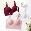 Bestseller Transfronteiriço Sutiã Camisola Lindo Costas Lisas Lingerie Integrada Sutiã Push-up para Seios Pequenos Feminino