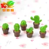 Un terrario de musgo, decoración de botella ecológica, manualidad de resina DIY, adorno de suculenta, artículo decorativo