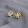 Pendientes de diamantes para mujer, de doble cara, con forma de estrella de cinco puntas, 2023, nuevos pendientes de moda, diseño de nicho, estrellas de alta calidad.