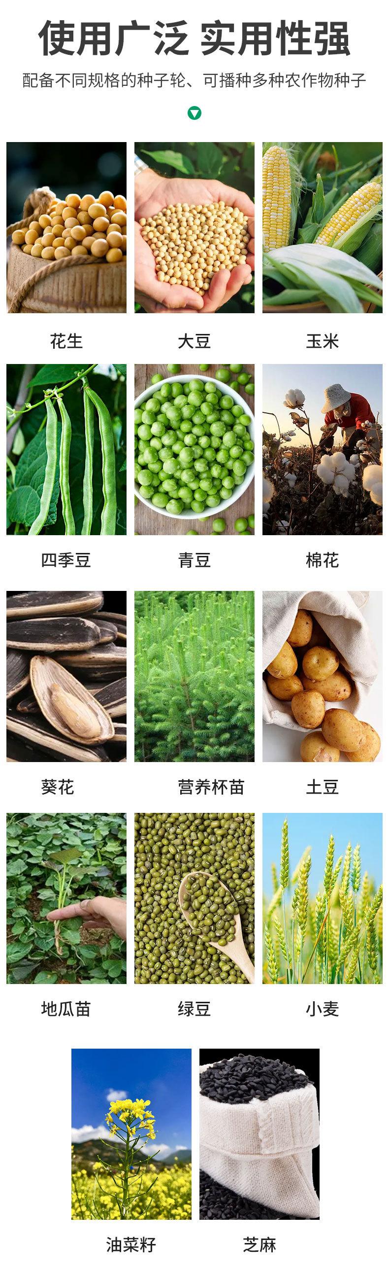 详情页标准_14.jpg