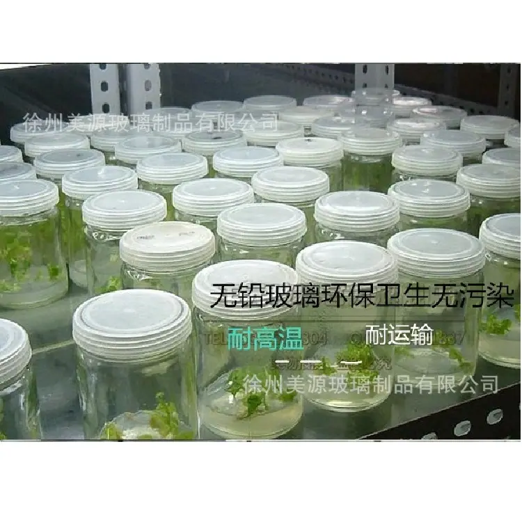 311_副本