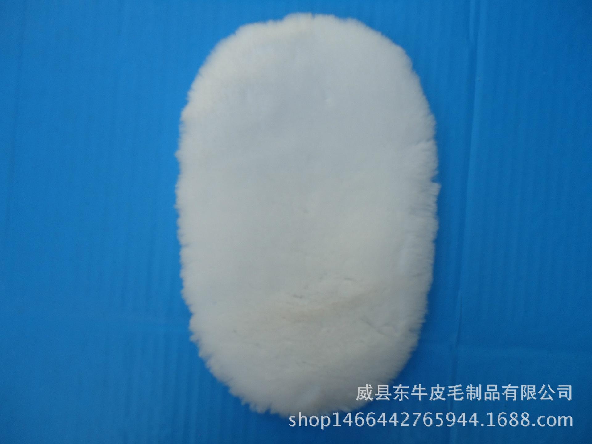 DSC02314