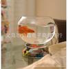 Jarrón de vidrio soplado transparente creativo para escritorio, linterna hidropónica, pecera de vidrio, accesorios para el hogar, venta al por mayor