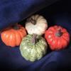 12 peças de ornamentos de abóbora pequena de simulação decorações de abóbora de Halloween decorações de Natal artesanato de frutas e vegetais de simulação pose