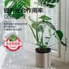 Solución nutriente concentrada de vitalidad vegetal para el crecimiento de flores, líquido enraizante para plantas de interior en macetas, fertilizante universal para flores y suculentas