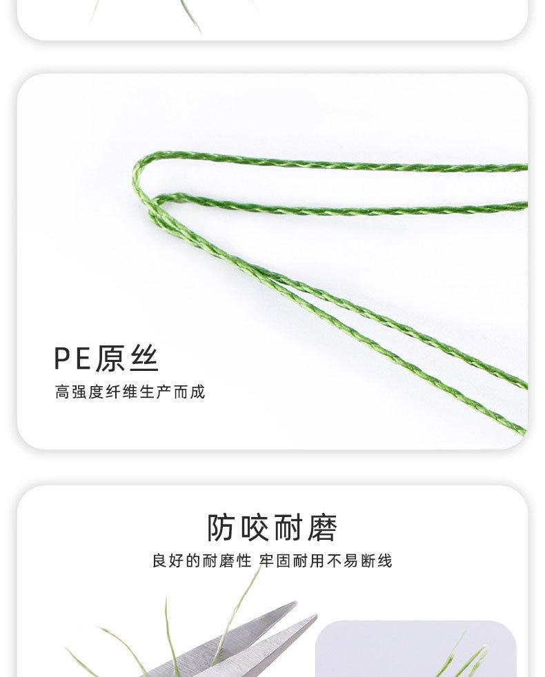 8编大力马皇族_05