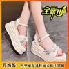 Sandalias de suela suave para damas, ideales para el verano de 2024, elegantes y a juego con los zapatos de una sola capa.